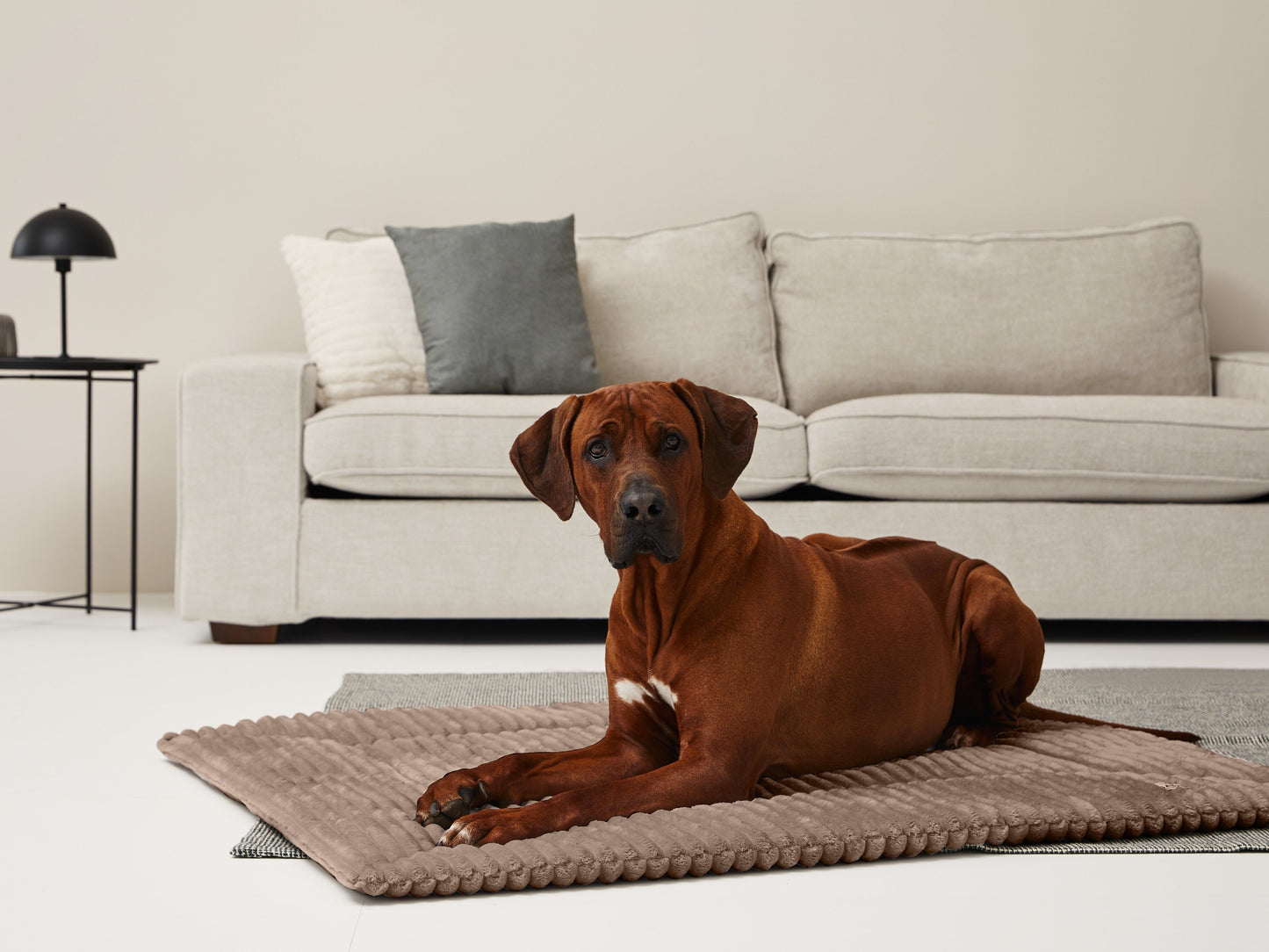 Einlage MJUCK Breitcord