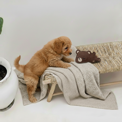 BUDDY. Hundeleksak av läder "Liten Björn" 