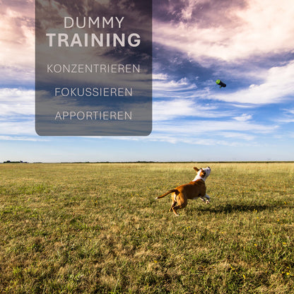 ASCO hunddummy - apporterings- och snackdummy (21x7 cm)