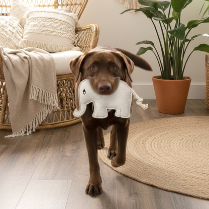BUDDY. Hundeleksak av läder "Elefant" 