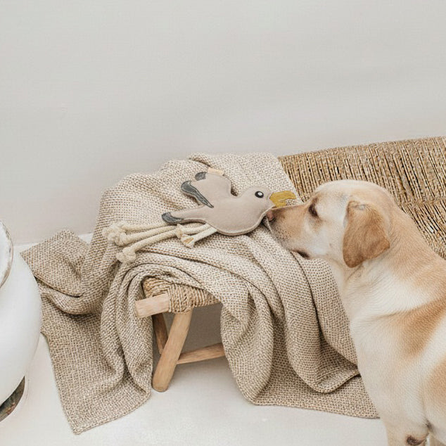 BUDDY. Hundleksak av läder "Mås" 