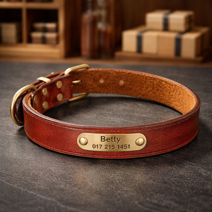 Läderhalsband med guldfärgad tagg, graverat namn och telefon