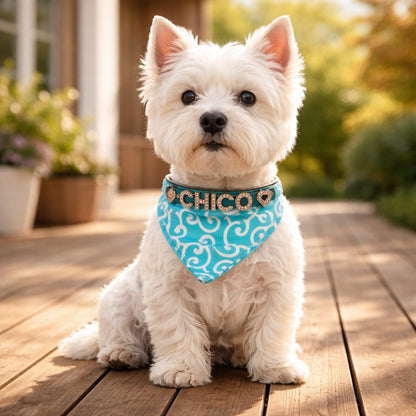 Hundbandana med namn och hundhalsband av äkta läder. Dekorerad med glittrande strassbokstäver