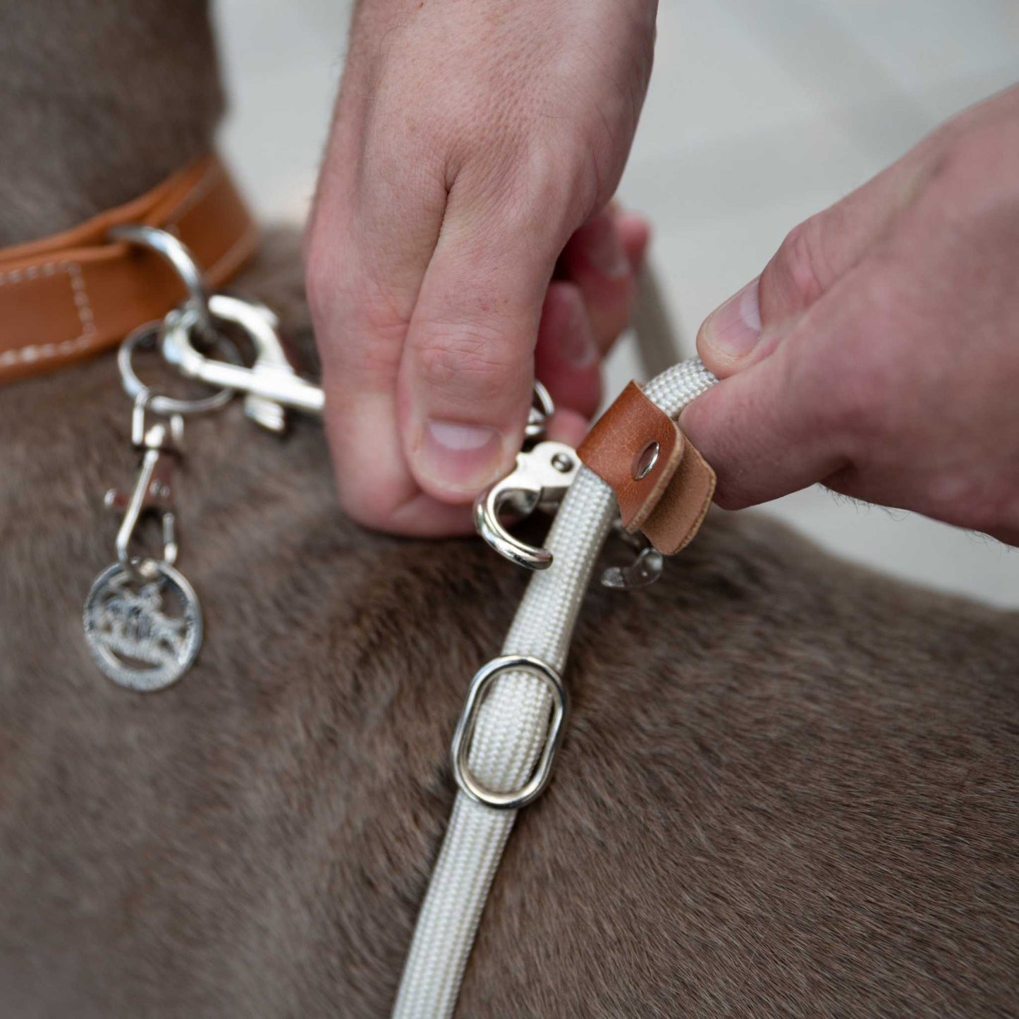 LeichtLaufLeine® Kurzleine und Übungsleine zur besseren Leinenführung