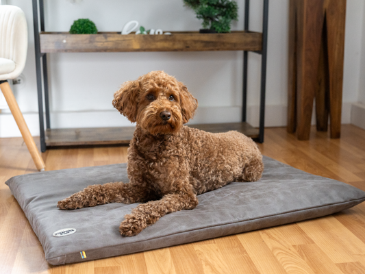 Hundeliegematte JOKKMOKK veganes Wildleder