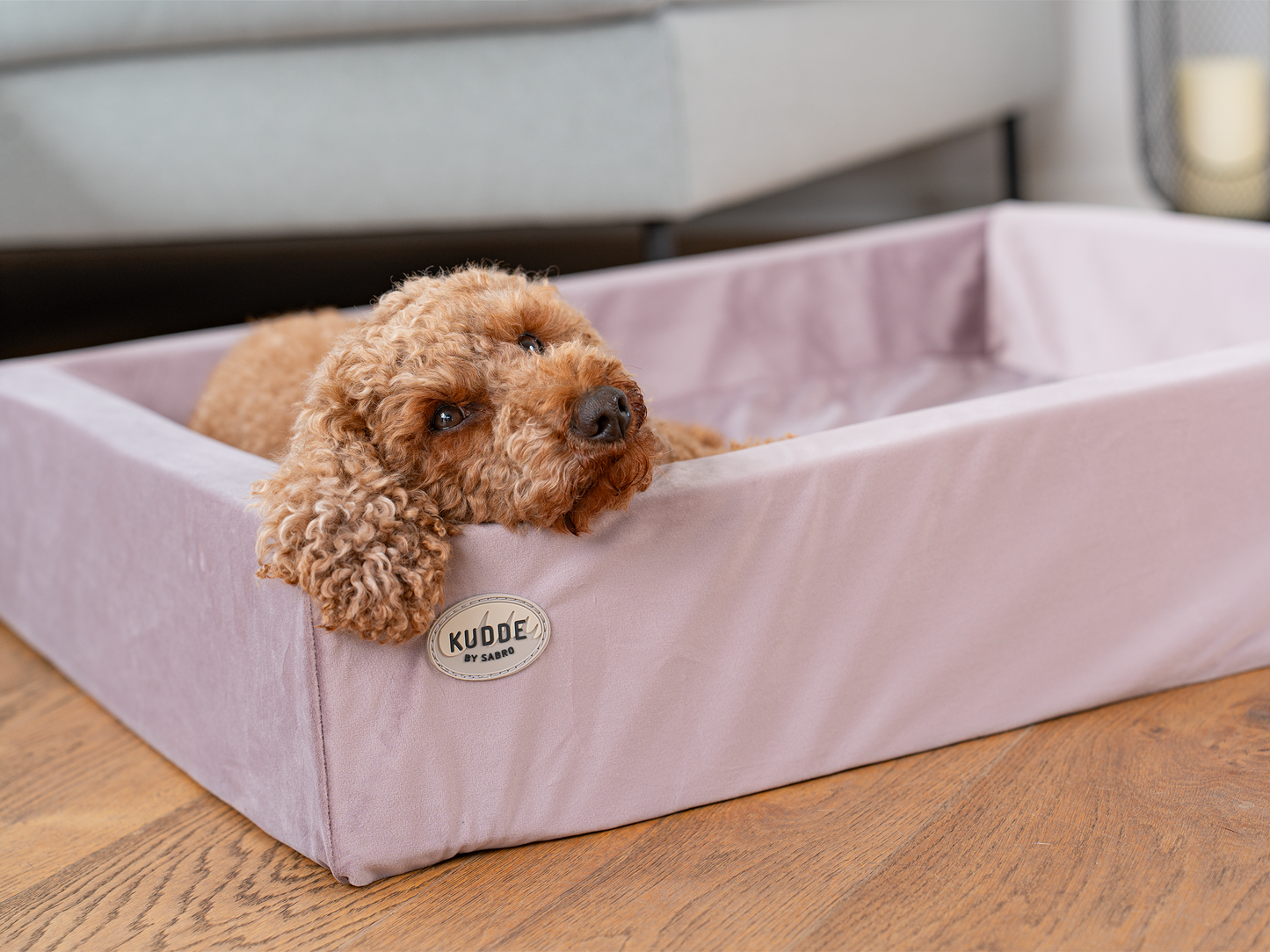 Hundebett KUDDE Samt