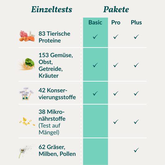Allergietest Basic Hund