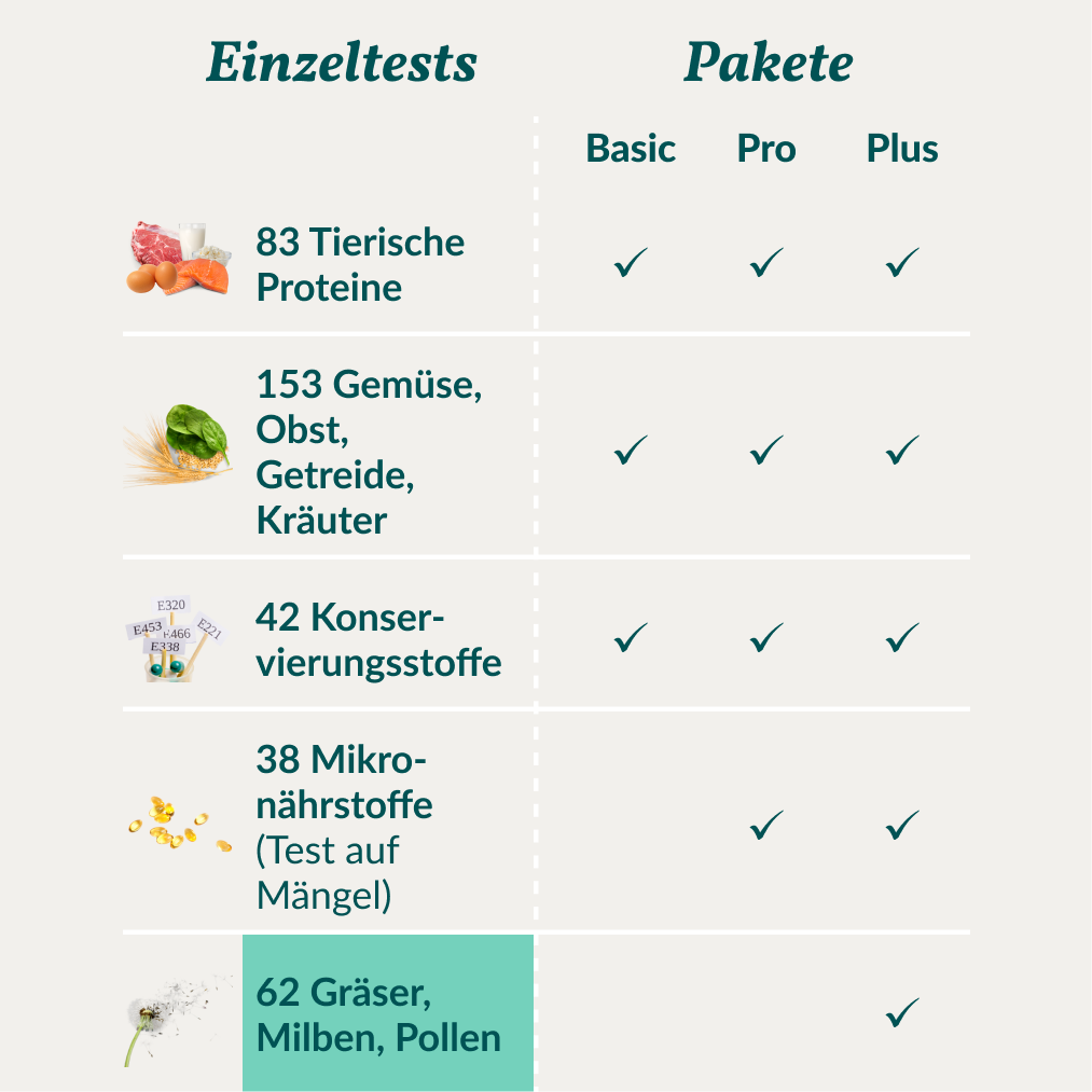 Allergietest - Gräser, Milben & Co. Hund