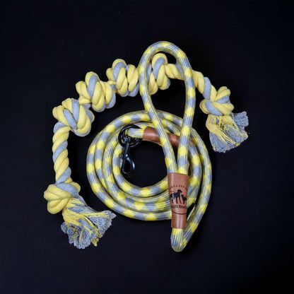 Hundeleine grau gelb mit gratis Tauseil und Kotbeutelspender