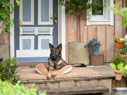 SCHMUSEHÖRNCHEN Alltid