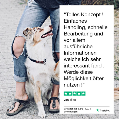 Giardientest Hund