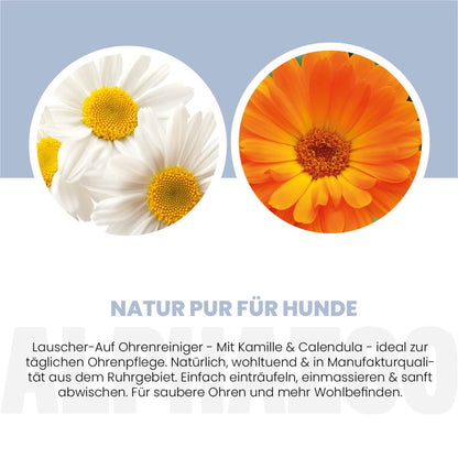 Lauscher-Auf Ohrenreiniger für Hunde